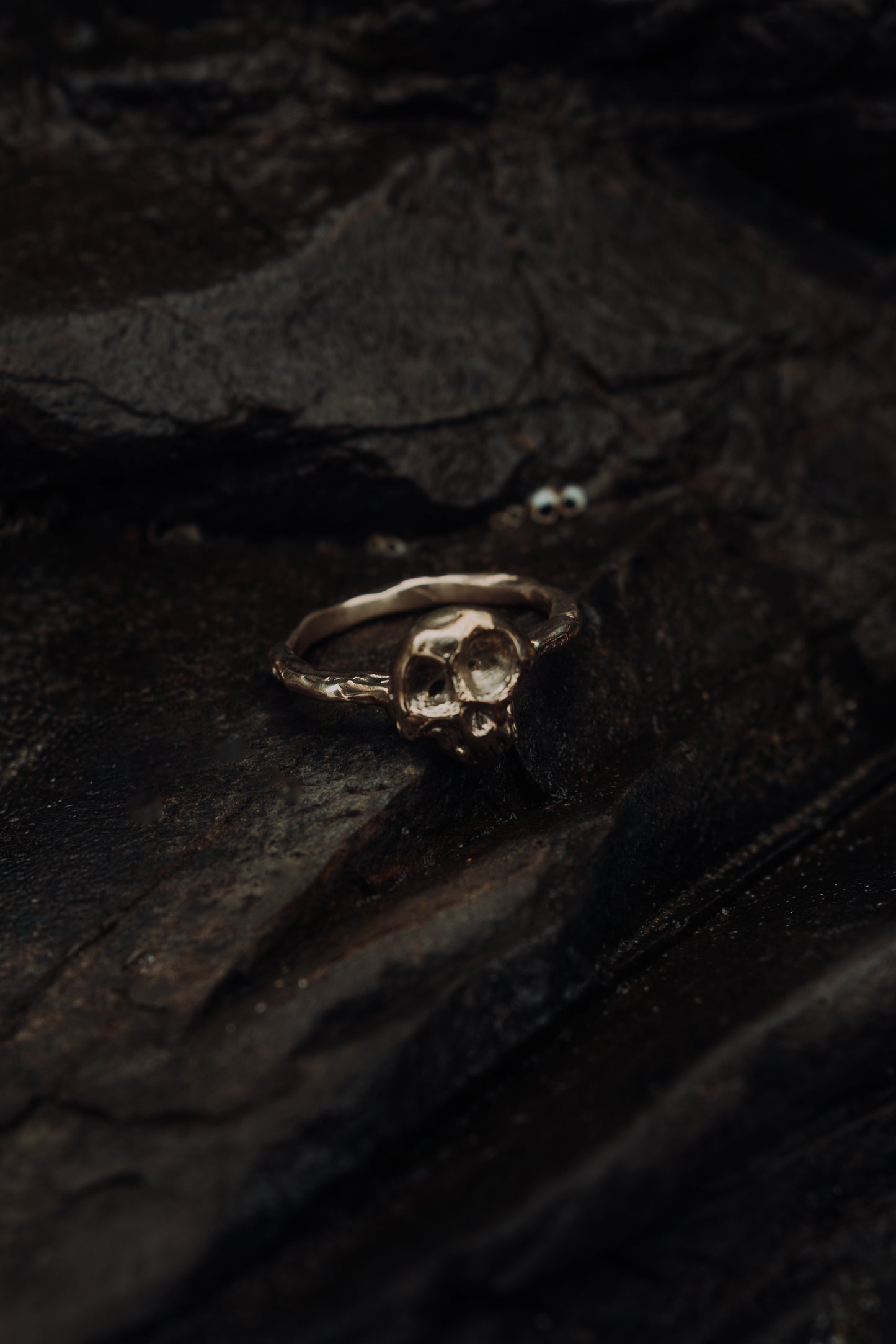 Memento Mori Ring