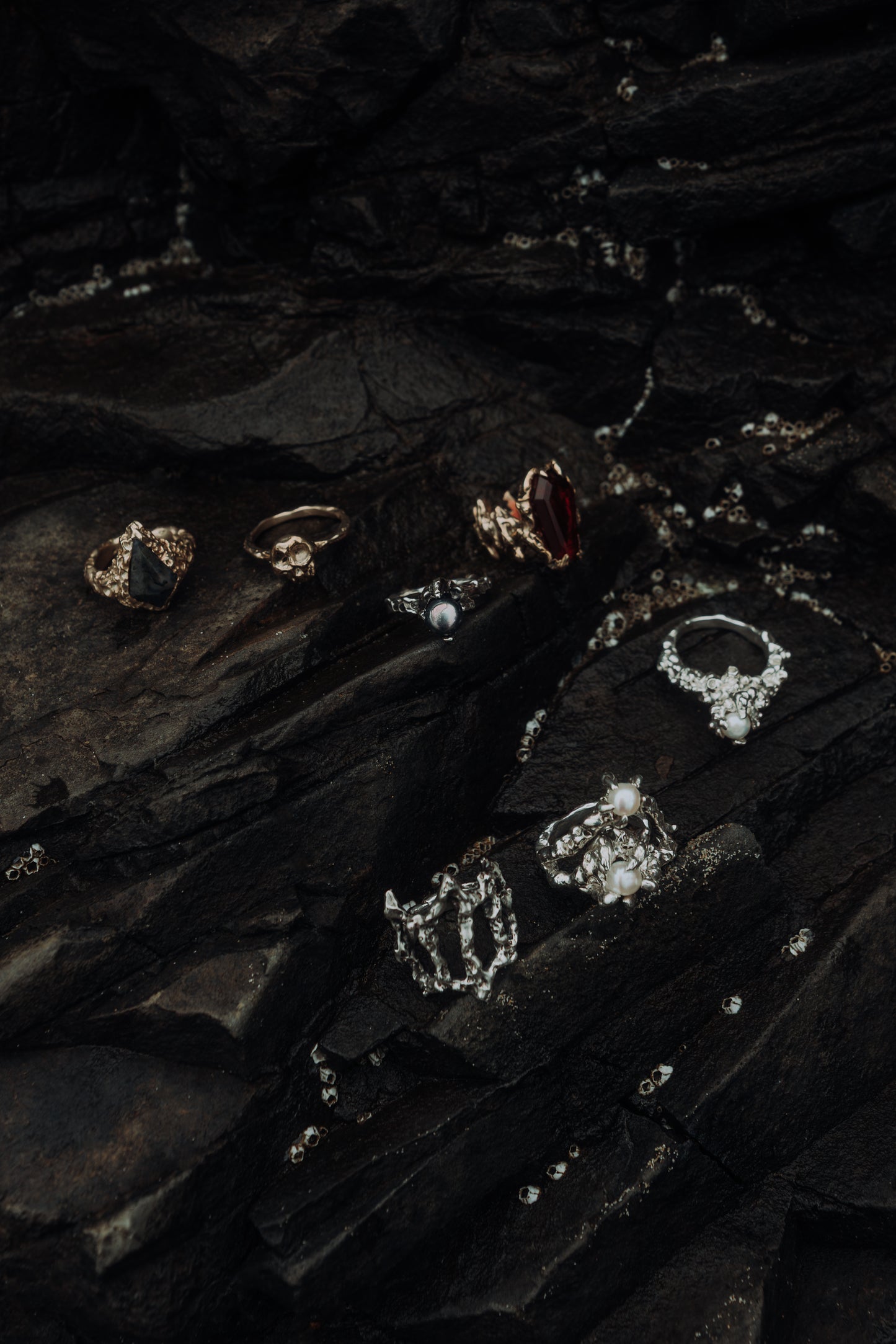 The Sleeper’s Ring